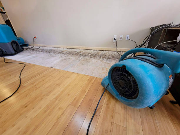 Professional Water Damage Repair technician working in Terrebonne, OR